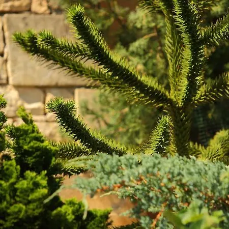 Le Clos Roussillon Près De Sarlat Vitrac (Dordogne)