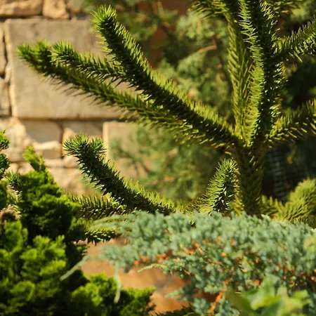 Le Clos Roussillon Pres De Sarlat Hotel